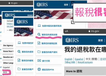 網上報稅
