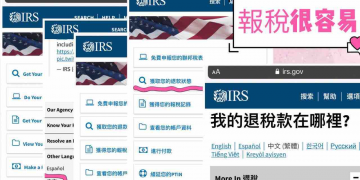 網上報稅