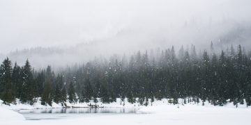 下雪啦 喜憂參半