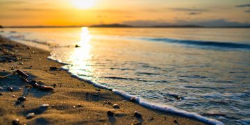 Photo by Benjamin Massello on Unsplash