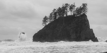 Photo by Bobby Stevenson on Unsplash