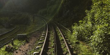 穿越林間的鐵路 （Photo by Chirag Saini on Unsplash）