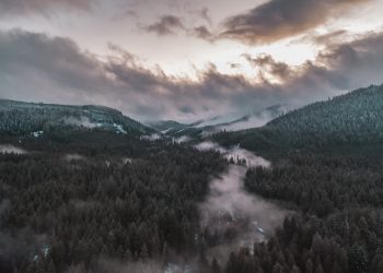 Photo by Dan Meyers on Unsplash