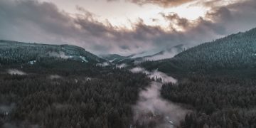 Photo by Dan Meyers on Unsplash