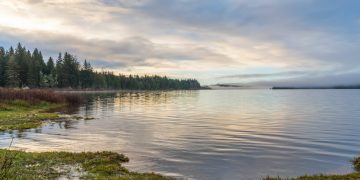 Photo by Ian M Jones on Unsplash