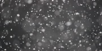白雪似飛花（Photo by Jessica Fadel on Unsplash）