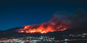 野火(Photo by Levan Badzgaradze on Unsplash)