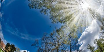 華盛頓大學（Photo by Marco Bicca on Unsplash）