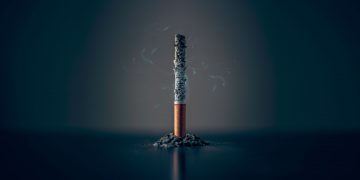 貽害無窮（Photo by Mathew MacQuarrie on Unsplash）