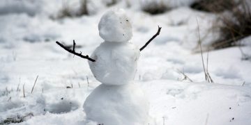 雪白 純潔      (Photo by Nathan Wolfe on Unsplash)