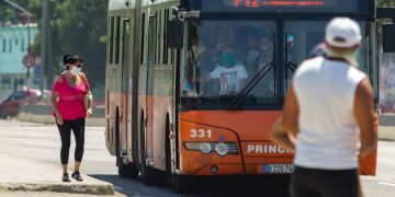 bus