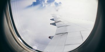 翱翔（Photo by Samuel Tan on Unsplash）