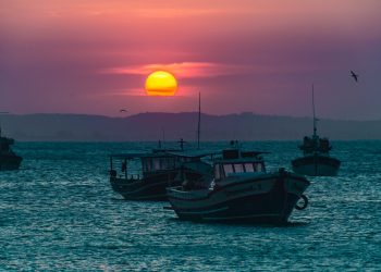 捕魚（Photo by Tadeu Jnr on Unsplash）