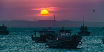 捕魚（Photo by Tadeu Jnr on Unsplash）