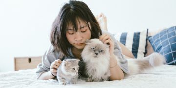 Photo by Tran Mau Tri Tam on Unsplash