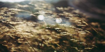 Photo by Vera Davidova on Unsplash