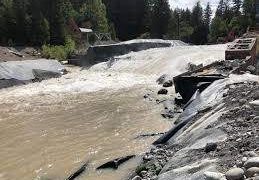 （圖片來源：AP）