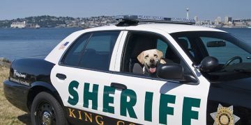 图源：Kingcounty.gov