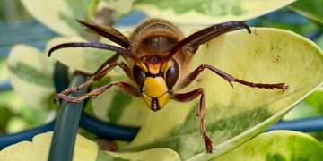 （Photo by Michael Lefrancois on Unsplash）