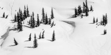 （Photo by Amy Rollo on Unsplash）