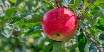 （Photo by Gabriele Lässer on Unsplash）