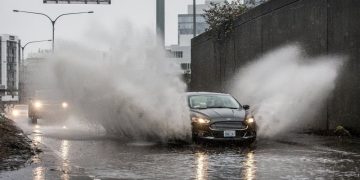 (Steve Ringman/The Seattle Times via AP)