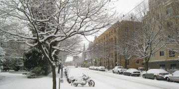 Hasan Basri AKIRMAK / Flicker