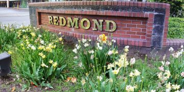 Photo by KurtClark on Flickr