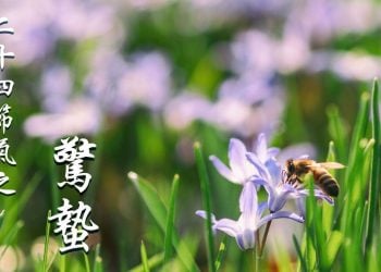 jingzhe（pixabay）