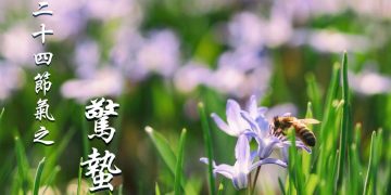 jingzhe（pixabay）