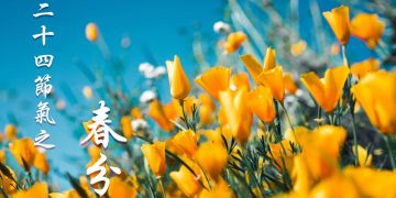 spring equinox（pixabay）