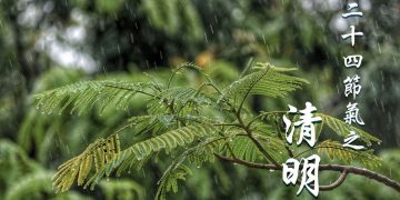 qingming photo_2021-03-28_00-15-11