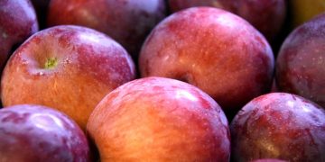 James_Seattle/flickr