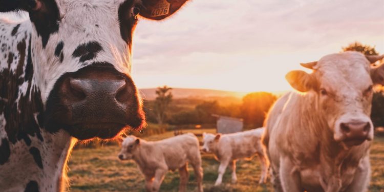 Photo by Stijn te Strake on Unsplash