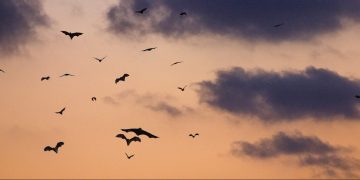 Photo by Clément Falize on Unsplash