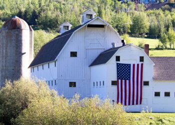 Photo by Tony Mucci on Unsplash