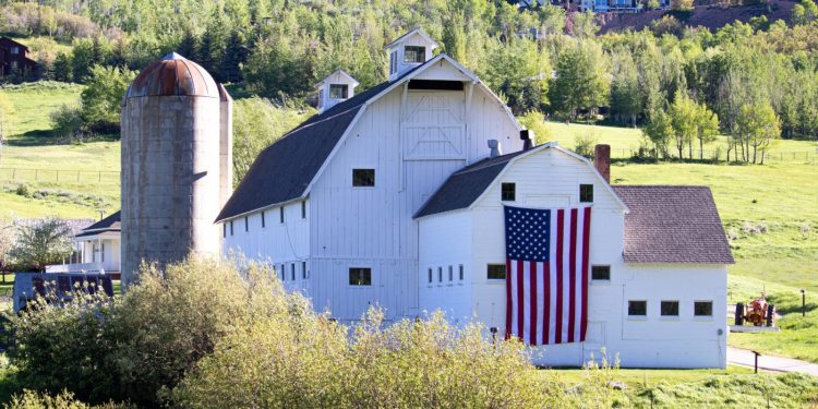 Photo by Tony Mucci on Unsplash