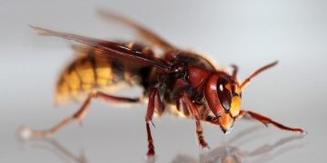 Rene Schwietzke/flickr