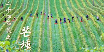 Photo by Matthias Mitterlehner on Unsplash