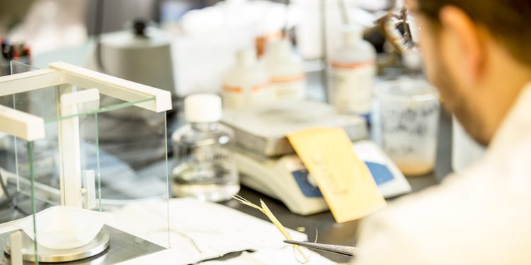 Lab