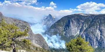 Photo by Billy Onjea on Unsplash