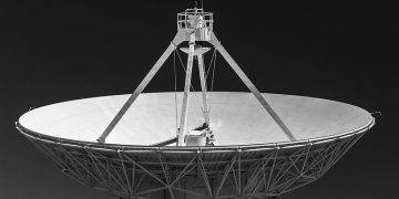 Kool Cats Photography /flickr