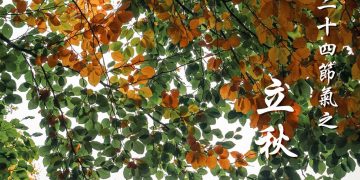 Photo by Luke Galloway on Unsplash