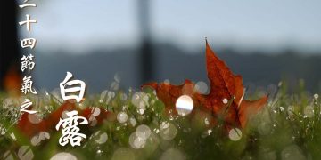 二十四節氣之白露，白露时节
