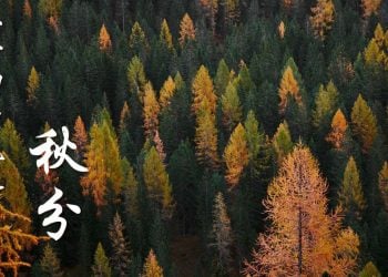 二十四節氣之秋分（Photo by Luca Bravo on Unsplash）