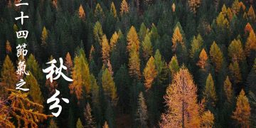 二十四節氣之秋分（Photo by Luca Bravo on Unsplash）