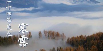 Photo by Uta Scholl on Unsplash