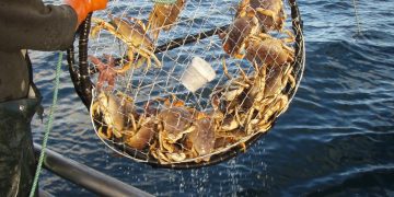 California Department of Fish and WildlifeFollow/flickr