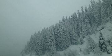 (Pat Strosahl/Flickr)