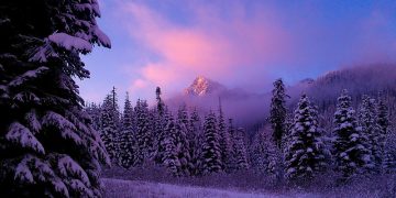 FCB Excalibur/Flickr